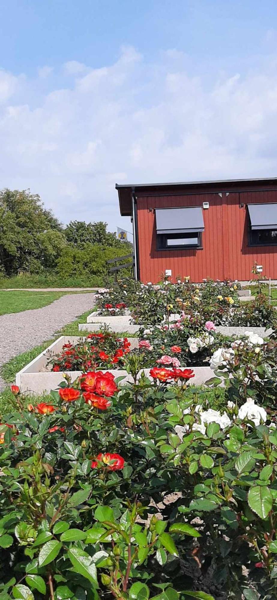 Stf Station Linne Färjestaden Exterior foto